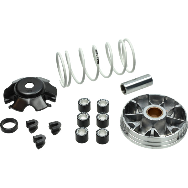 Variokit malossi snel euro-2/4/5 zip, sprint, primavera, sco piaggio 4t-3v I-get, sco piaggio 4t-2v, lx 4t-4v