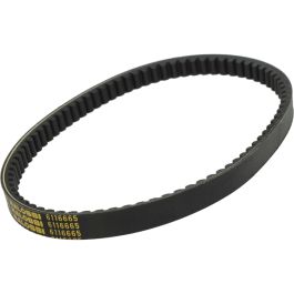 V-snaar Malossi 795.5x20 Agility 125, Agility 150, new Like, people-s,