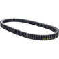 V-snaar Polini 975x25 tricity 300, Yamaha, XMAX 300