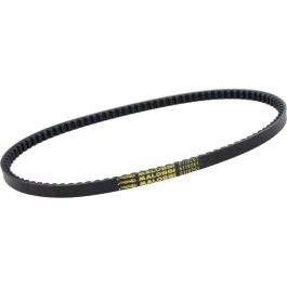 V-snaar Malossi 969mm ciao px