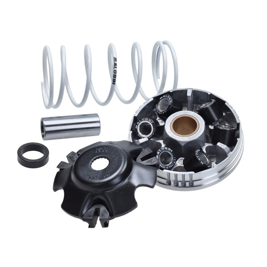 Variokit Malossi snel euro-2/4/5 Zip, Sprint, Primavera, scooter Piaggio 4t-3v I-get, scooter Piaggio 4t-2v, LX