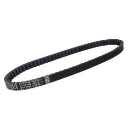 V-snaar Dayco/Pirelli 734x17 12inch Kisbee 4T, sfera, Zip ot