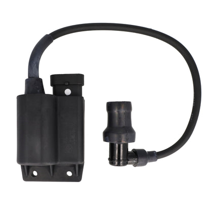 Bobine/CDI-unit Piaggio origineel 25km (Primavera, Piaggio 4T-2V, Sprint, Zip2006 4T)