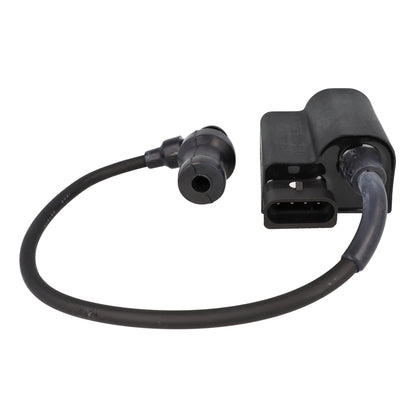 Bobine/CDI-unit Piaggio origineel 25km (Primavera, Piaggio 4T-2V, Sprint, Zip2006 4T)