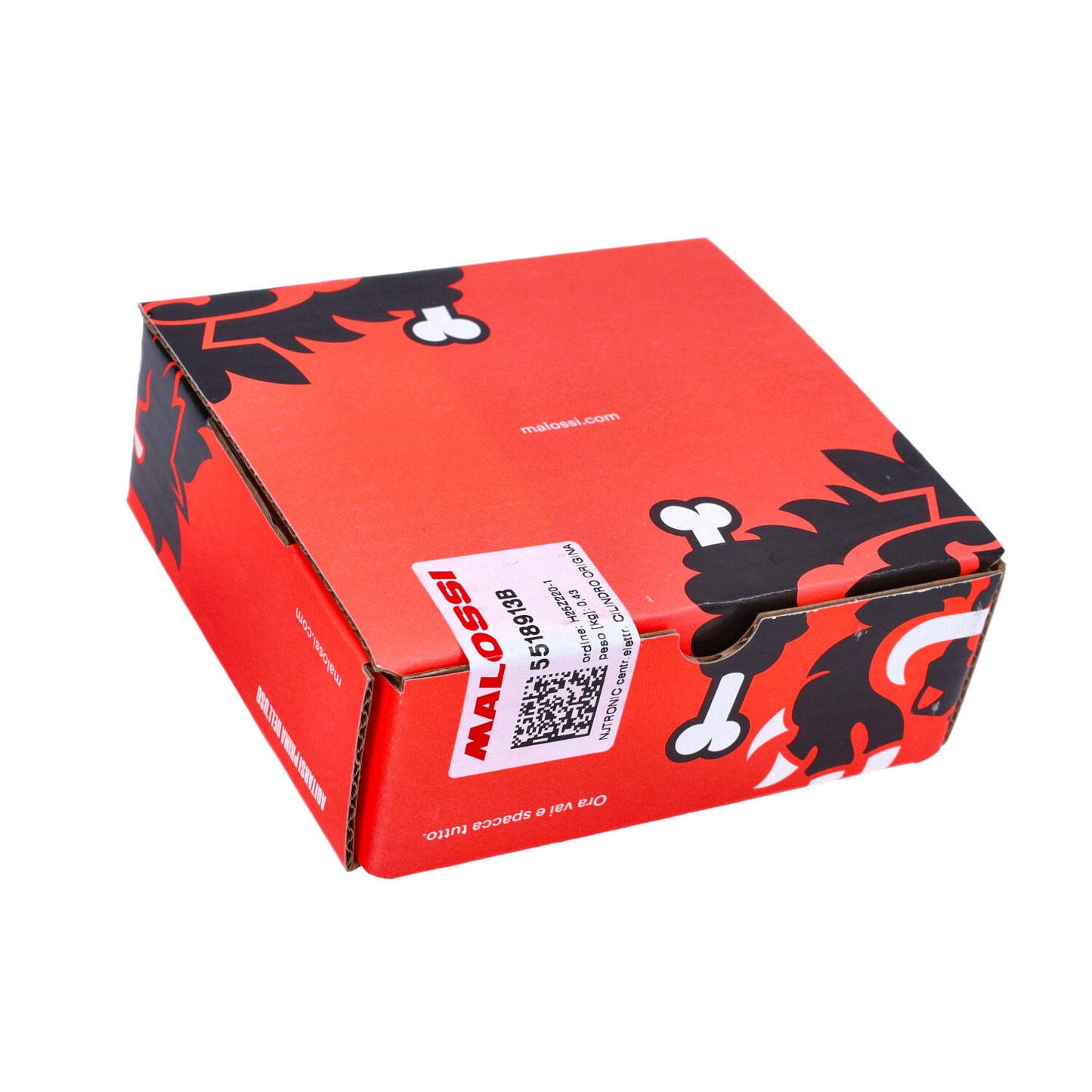 ECU-unit Malossi Euro-5 snel (originele Piaggio cilinder: Liberty, Primavera 4T-3V, Sprint 4T-3V, Zip)
