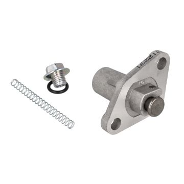 Kettingspanner Piaggio origineel nokkenas GTS alle mod., GTV, LX, MP3, Zip 4T 100, centro 4T, Liberty iGet, Primavera, scooter Piaggio 4t-2v/4t-4v, Sprint