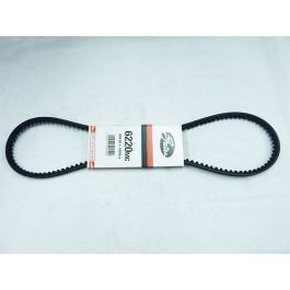 V-snaar Bando 1000mm ciao, citta