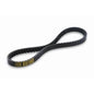 V-snaar Malossi 835x22 Euro 3 PCX 125 ie, SH
