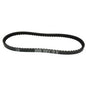 V-snaar Dayco/Pirelli 793x15 12inch rapido pista, screnna